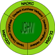 Graphic JGHV Hierarchy